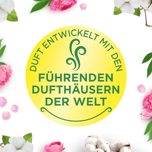 Air Wick Wohlfühl-Duftkerze im Glas – Duft: Cotton Flower Dream – Je bis zu 20 Stunden Brenndauer – Enthält natürliche ätherische Öle – 6 x 105 g Duftkerzenset