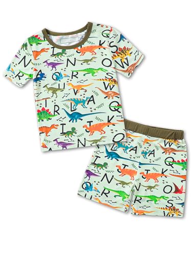 Mikrdoo Boys Pajamas for Toddler Kids 2 Piece Summer Short Sleeve Pjs Sets Skin-Friendly Dinosaur Park Nightwear for Little Kids 3-4T