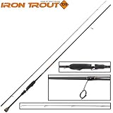 eingespleißte Solid-Carbon Spitze