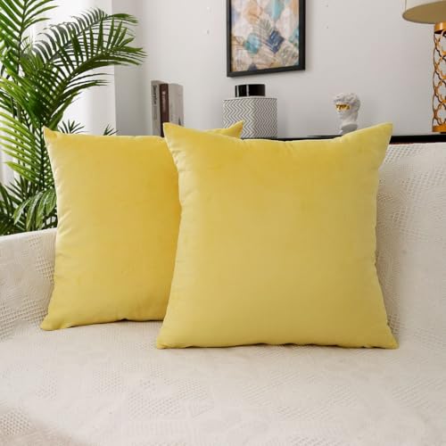 MoonRest - Pack of 2, Velvet Decorative Pillow Cover Set, Cozy Soft with Hidden Zipper Solid Color for Sofa Bedroom Car Couch Throw Pillow 20 x 20 Yellow