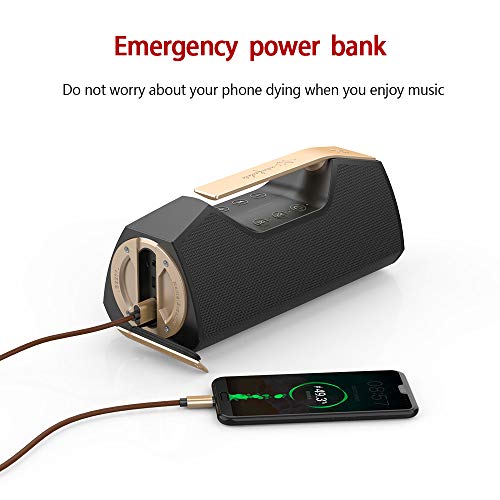 Wharfedale Altoparlante Bluetooth Altoparlante Wireless Portatile Esterno,IPX7 impermeabile,25W Forte suono,Basso ricco,Luce a led,Accumulatore di energia,TWS, design durevole (Nero)