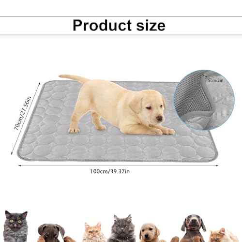 FINELYCR Kühlende Hundedecke, 100 × 70 cm Kühlende Decke Hund, Grau Kühldecke Hund Ohne Gel, Weich und Atmungsaktiv, Langlebig für Katzen und Hunde Im Sommer