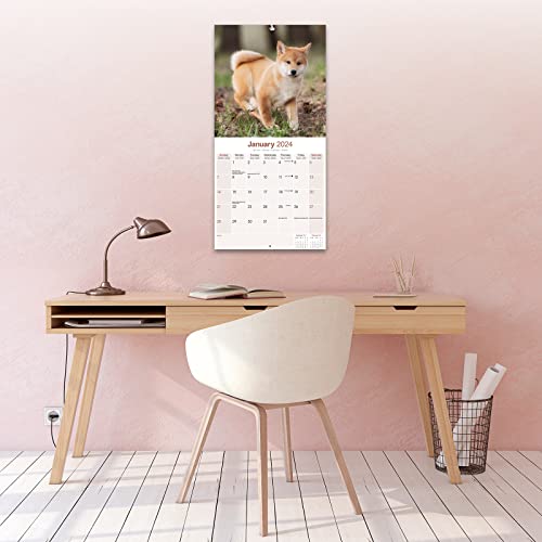 Shiba Inu Calendar 2024 | Square Dog Breed Wall Calendar - 16 Month - Image 4