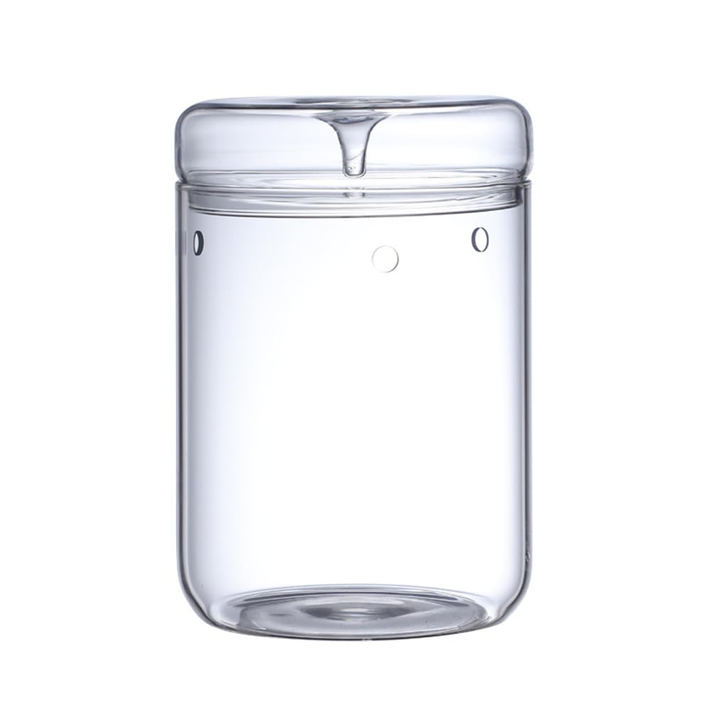 Mikro-Landschaftsglasterrarium mit Tausammeldeckel, Bonsai-Vase Aus Glas, Mikroskopische Landschaft, Ökologische Flasche L