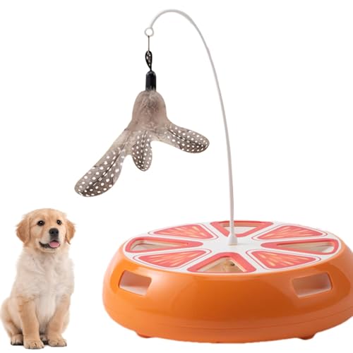 Jouet intelligent chat : plateforme rotative et jeu interactif électrique