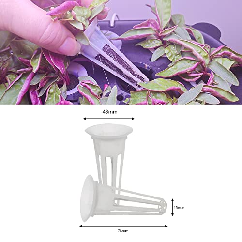 Ambgrow Seed Pods Kit For Aerogarden, Hydroponics Supplies With 200Ml A&B Plant Food Nutrient,12 Grow Sponges, 12 Grow Baskets, 12 Pod Labels And 12 Grow Domes #TOP2