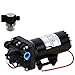 Shurflo 5059-1310-D011 Automatic-Demand 12V Diaphragm Pump with Shurflo 255-313 Strainer (Bundle, 2 Items)
