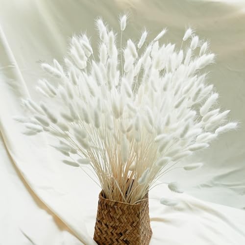 Naunauya 120 PCS Pampas White - Trockenblumen – Pampasgras,...
