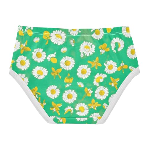White Flowers Daisies Green Little Girl Panties Toddler Girls Underwear Cotton Print Kids Undies Briefs 2t2
