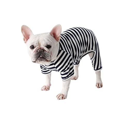 BT Bear Pijama Clásico para Perros Cover