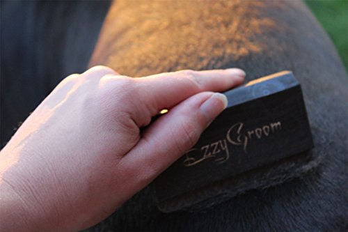 Ezzygroom Bürste für Hund mit drahtigem Fell