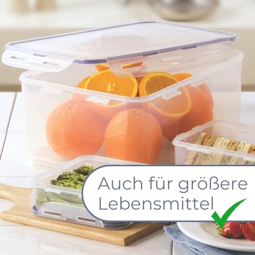 LocknLock PP Classic Vorratsdose mit Ablaufgitter | 2 L | 27,8 x 11,5 x 10,3 cm | 100 % luft- und wasserdicht | Gefrier-& Kühlschrank Organizer | Spülmaschinen-& Mikrowellengeeignet | BPA frei