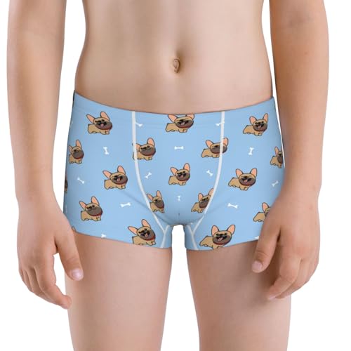 Boys' Cotton Boxer Brief Soft Underwear-Brown French Bulldog