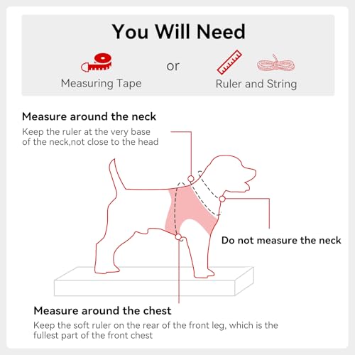 Joytale Hundegeschirr, Reflektierend Weich Gepolstert Hunde Geschirr, Air-Mesh Atmungsaktiv Brustgeschirr für Kleine Mittelgroße Hunde, M, Rot