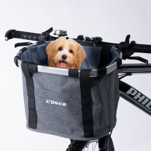10 Best Bicycle Dog Baskets 2024 There's One Clear Winner