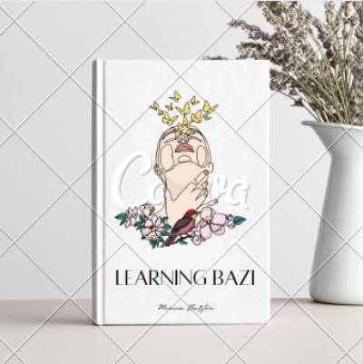Learning bazi introduction