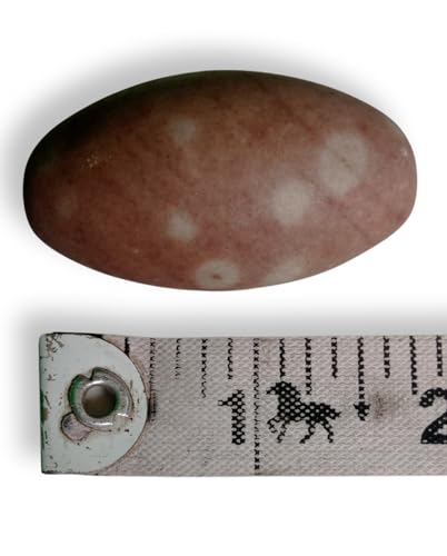 Image of 100% Natural Narmadeshwar Narmada Stone Shivling, Natural Narmada Stone Priyadarshan Shivling & Jaladhari, Kamalhasth. (1.5inch Shivling & 3inch Plate Jaladhari)