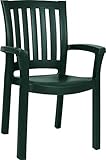 Compamia Sunshine Resin Patio Dining Arm Chair in Green (Set of 4)
