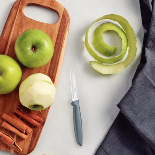 Tramontina Plenus 3 Inches Vegetable and Fruit Knife with Stainless Steel Blade and Gray Polypropylene Handle