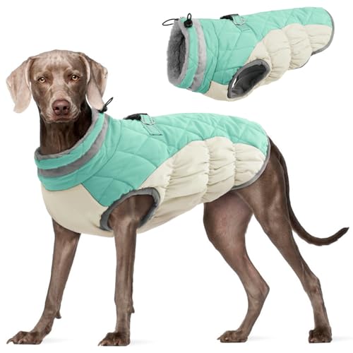 FUAMEY Dog Coat for Large Dogs,Waterproof Dog Winter Jacket with Harness Built in Puppy Cold Weather Coats Reflective Pet Vest with Zipper Warm Fleece Dogs Snowsuit Windproof Mint Green L L(