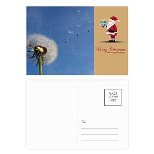 Cartes postales père Noël Blanc au design épuré et papier premium Blue Sky