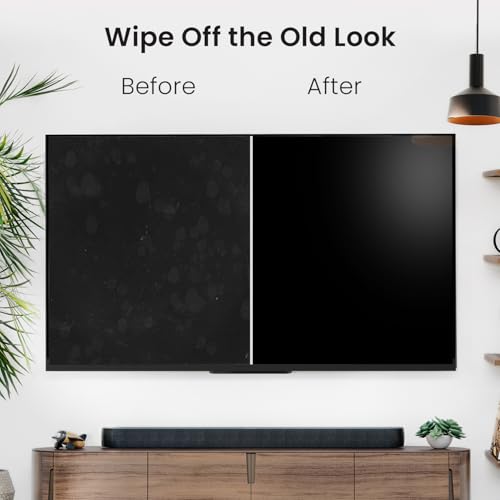 EVEO Streak-Free Screen Cleaner Spray Kit