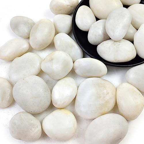 Roches de rivière blanches 4,5 kg de galets polis pour déco extérieure et jardin