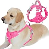 BARKBAY Dog Harness No Pull with ID Tag Pocket - Heavy Duty, Reflective, Easy Control for Large...