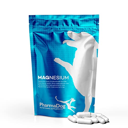 Magnesium Hund