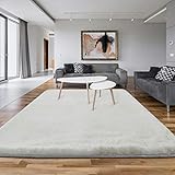Asvin 5x7 Area Rug, Fluffy Living Room Area Rug, Luxury Large Area Rug, Non-Skid Fleece Carpets for...