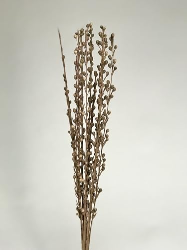 Ramo natural de palitos secos Moti de 10 tallos miniatura 2