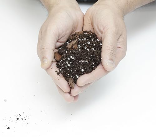 Fiddle Leaf Fig House Plant Soil Premium All Purpose Blend - Premium Compost, Bark, Coco Chips and Fibers, Perlite - 5 Liters Bag - Image 4