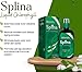 EDMARK splina liquide chlorophylle
