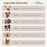 Carlos Diaz Genuine Leather Matching Pair Waxed Embroidered Gaucho Polo Dog Collar and Lead Set - M (14-18 Inches)
