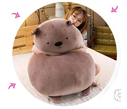 RAILONCH 50cm Plüschtier Stuffed Dinosaurier, Schwein, Bär, Cat, Schafe, Nilpferd Cartoon Langes Kissen Unisex Plüsch-Puppe (Bär)