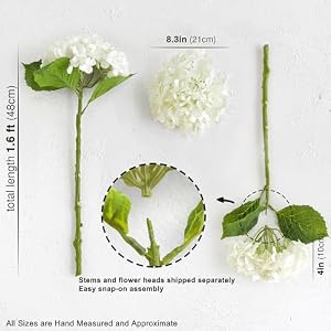 FiveSeasonStuff Real Touch Hydrangea Artificial Flowers – 2 Large Faux Blooms for Wedding Bouquets, Spring Home Decor, Table Centerpieces & Floral Arrangements (Summer White) FiveSeasonStuff Real Touch Hydrangea Artificial Flowers–2 Large Faux Blooms for Wedding Bouquets Spring Home Decor Table Centerpieces Floral Arrangements Summer White