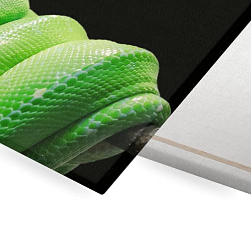 Tableau Python Vert serpent photo nature sauvage reptile toile imprimée 45x30 - 2