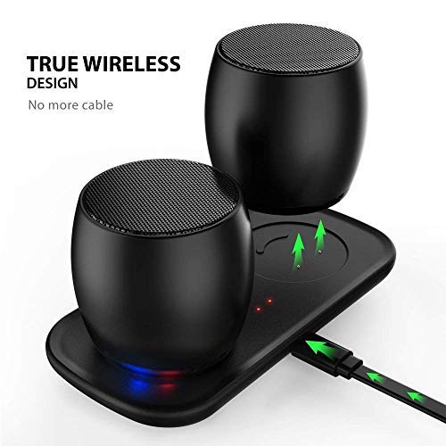 Bluetooth Speakers, Portable True Wireless Speaker with BuiltinMic