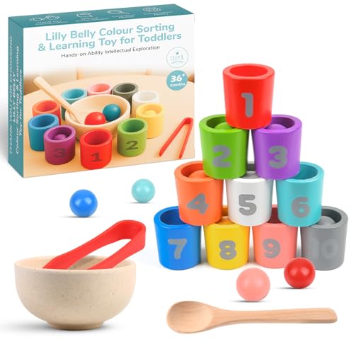 Lilly Belly Montessori Toys for 3 Year Olds Wooden Ball and Cup Game with Color Sorting Cups 10 Balls Spoon & Tong for Hand Grip and Motor Skills Early Education Learning Toys for Kids Ages 3+