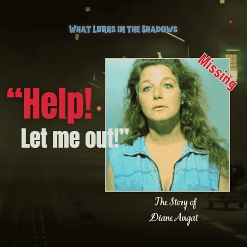 The Disappearance of Diane Augat | The Starlight Motel Call That Shocked Florida