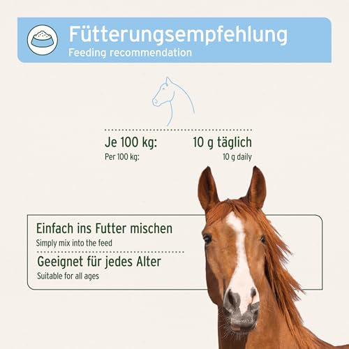 AniForte BT Pur Bierhefe für Pferde 5kg - Naturprodukt für gesundes, glänzendes Fell & Haut, Unterstützt Magen-Darm-Trakt & Darmflora, Nährstofflieferant