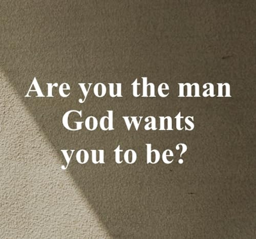 Image of The Titus Ten - Bible Study Book with Video Access: Foundations for Godly Manhood