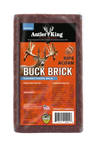 Antler King Ripe Acorn Flavored Buck Brick Attractant for Deer | 4 lb Mineral Brick Deer Attractant