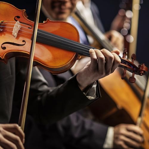 Image of AKLOT Violin 4 /4 Full Size Kit for Adult, Professional Acoustic Violin Spruce Top, Maple Back, Rose Wood Chinrest, Fiddle with Bow, Rosin, Case, Dust Cloth for Superior Sound Durability