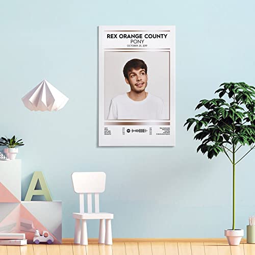 Poster Rex Orange County grande toile anti-reflet pour mur vide - 4