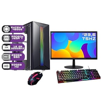 PC GAMER RYZEN 5 4600G COMPLETO - 16GB RAM - 250GB SSD + 500GB HD - KIT GAMER COMPLETO - MONITOR