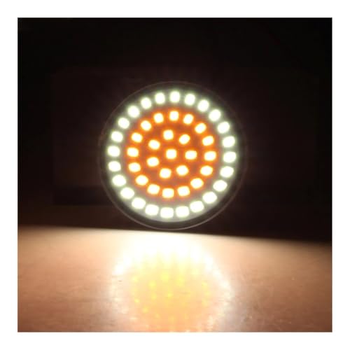 Clignotant pour moto LED premium insert bicolore 1157 pour Dyna Softail