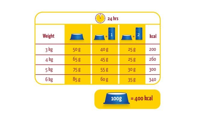 Image of Lara Adult Dry Cat Food, Urinary Care with Chicken - 2kg | Supports Urinary Tract Health | Complete & Balanced Nutrition | Dry Food for Adult Cats