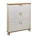 HLY Armoire à chaussures à bascule ultra-mince en Europe du Nord Simple moderne minimaliste casier étagère à chaussures porche/70x24x120cm/70x24x120cm
