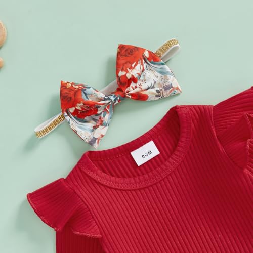 Mubineo Baby Girl Clothes Cute Outfits Ruffle Romper Flower Tops Pant Set Infant Long Sleeve Fall Winter Newborn Outfit4